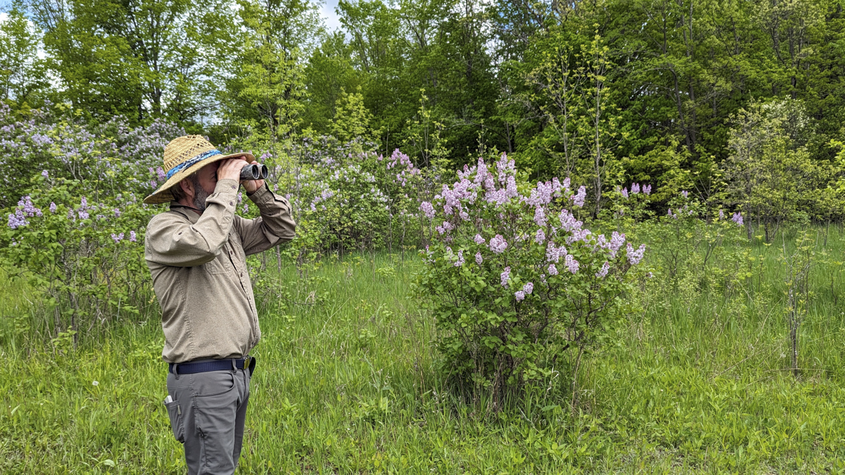 Man with binoculars