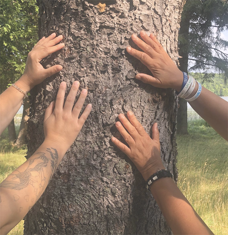 hands placed up on tree trunk