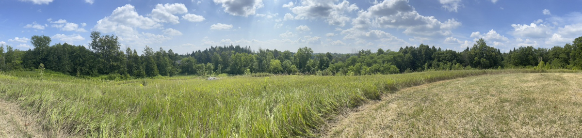landscape panorama with mowed grassy field