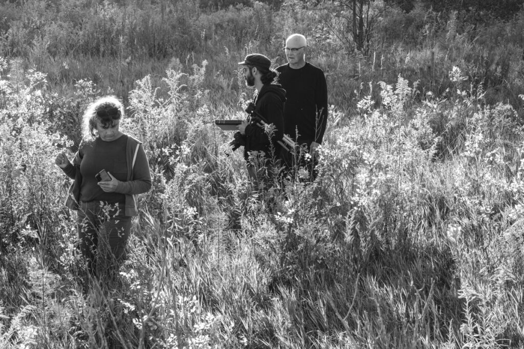 people walking in a field
